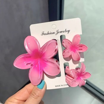 Ensemble de 3 Barrettes à...